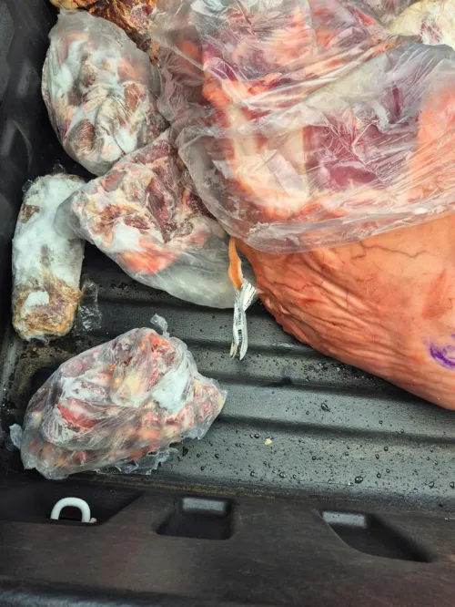 Braga: fiscalização apreende 2 toneladas de produtos impróprios para consumo e interdita mercado